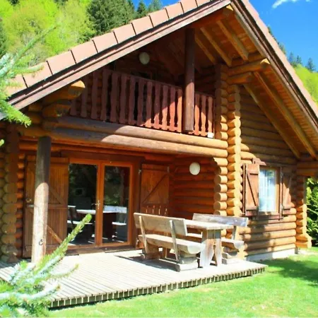 L'ours Noir En Rondins Chalet La Bresse