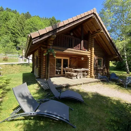 L'ours Noir En Rondins Chalet *