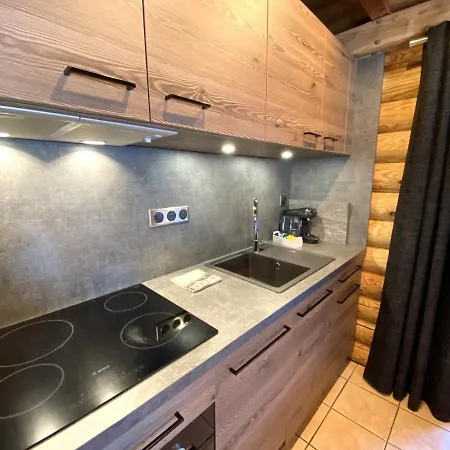 L'ours Noir En Rondins Chalet *