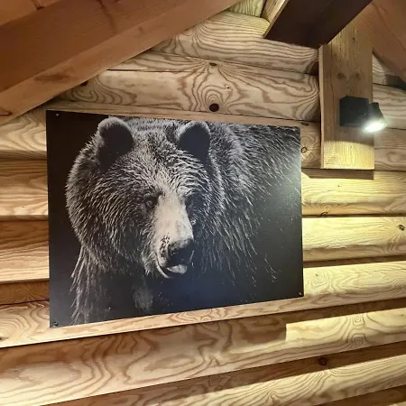 Chalet L'ours Noir En Rondins La Bresse