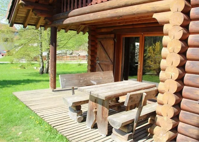 L'ours Noir En Rondins *