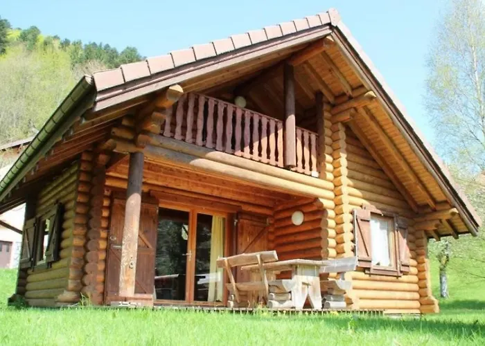 L'ours Noir En Rondins