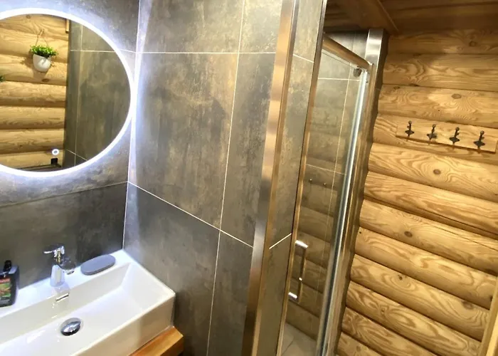 L'ours Noir En Rondins Alpstuga La Bresse