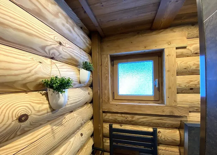 L'ours Noir En Rondins 샬레 라브레세