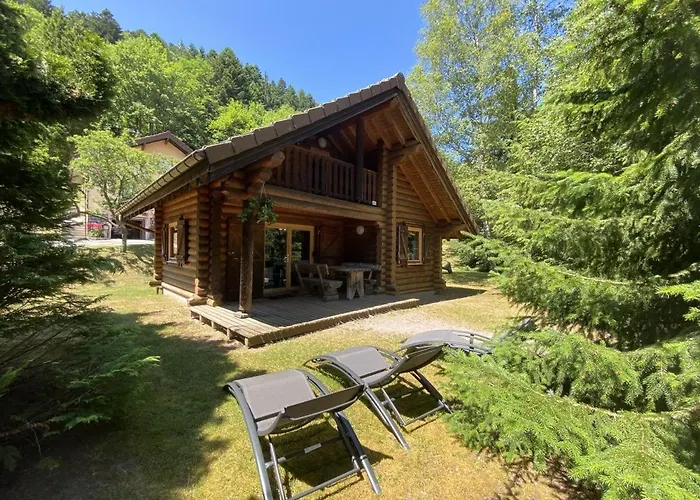 L'ours Noir En Rondins *