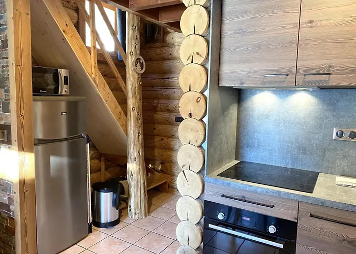 L'ours Noir En Rondins 샬레 라브레세