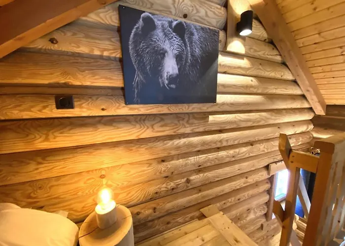 L'ours Noir En Rondins 샬레 라브레세